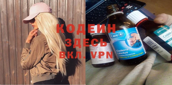 гидра Долгопрудный