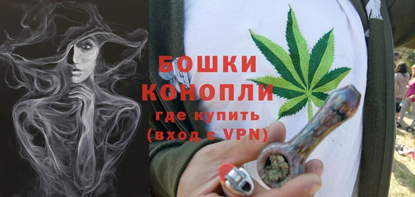 ГАЛЛЮЦИНОГЕННЫЕ ГРИБЫ Медногорск