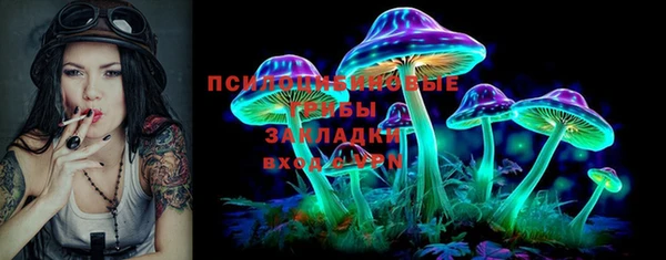 ГАЛЛЮЦИНОГЕННЫЕ ГРИБЫ Медногорск