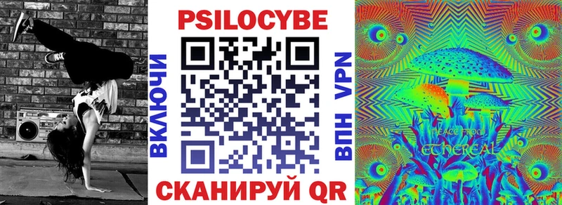 Галлюциногенные грибы Psilocybine cubensis продажа наркотиков Кириши