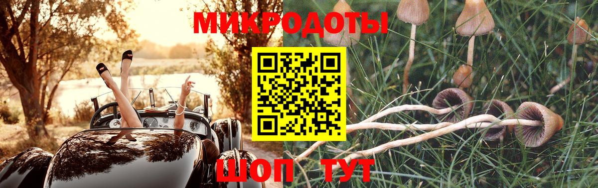 Кириши  Псилоцибиновые грибы Psilocybe  Псилоцибиновые грибы Psilocybe  Вход с VPN 