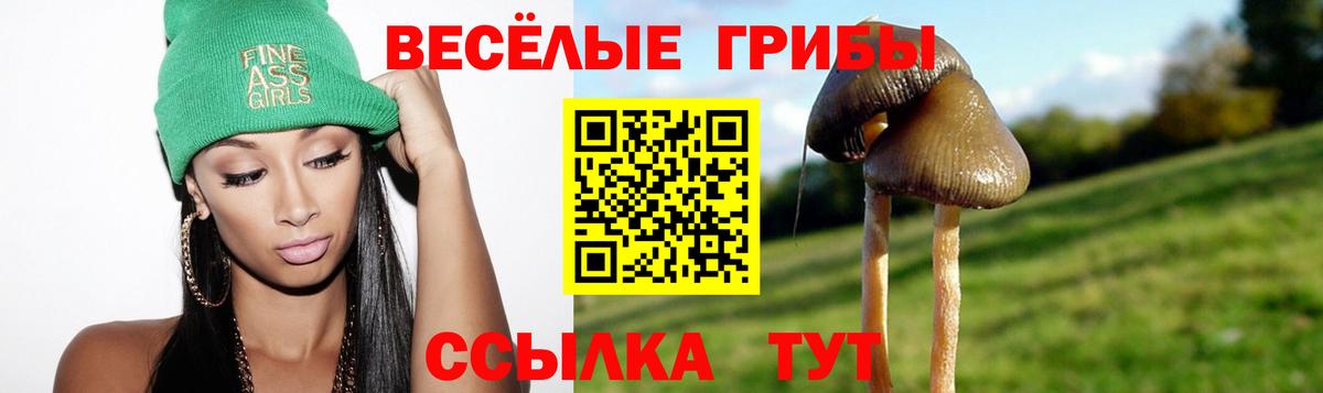 купить наркотик  Кириши  Галлюциногенные грибы Psilocybine cubensis  Псилоцибиновые грибы мухоморы 